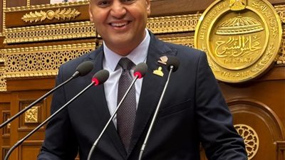 النائب الحسيني الليثي