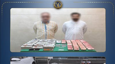 ضبط 8 عناصر إجرامية