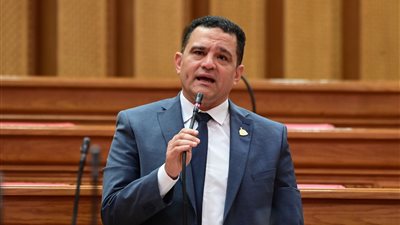  النائب أمير أحمد الجزار 