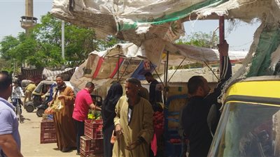 حملة مكبرة لإزالة إشغالات وتعديات شارع 23 يوليو 