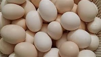 سعر كرتونة البيض اليوم للمستهلك