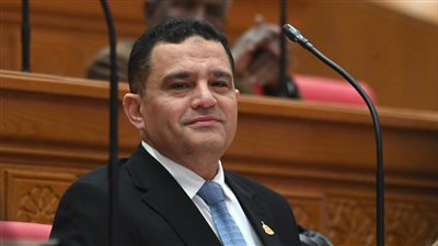 النائب أمير أحمد الجزار