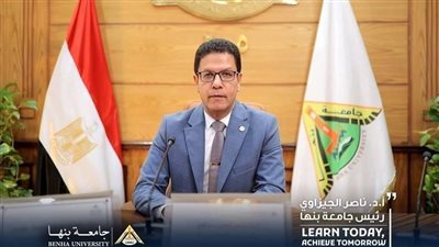 ناصر الجيزاوي