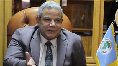 الدكتور عطية الطنطاوي