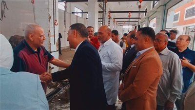 مجازر القليوبية 