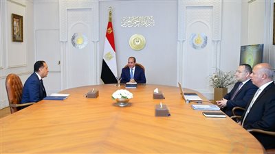 الرئيس السيسي يجتمع مع رئيس مجلس الوزراء ووزيرالتعليم العالي    