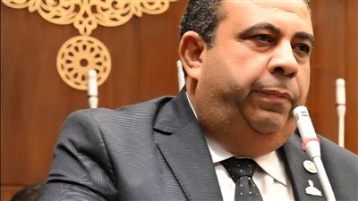 النائب أيمن الصفتي 